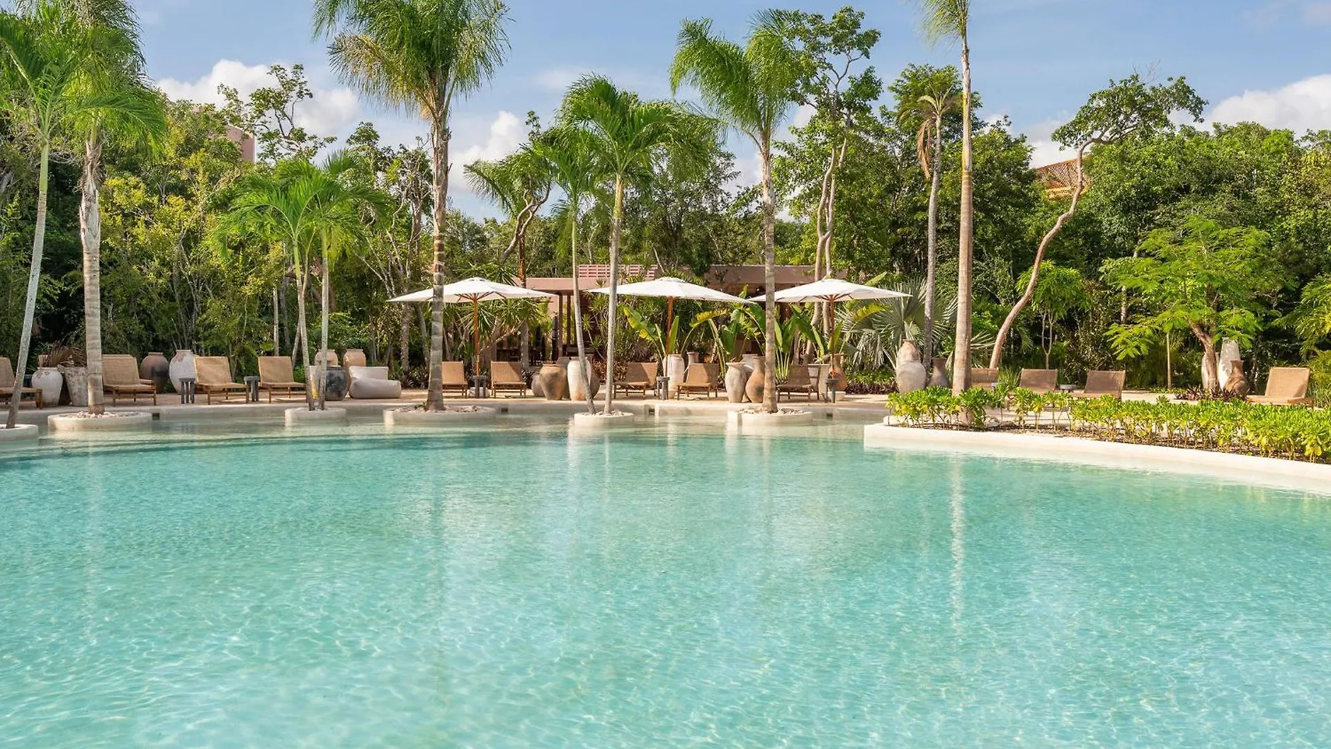 Amazing 1Br Tulum Jungle With Restaurant, Pool And Gym公寓 公寓